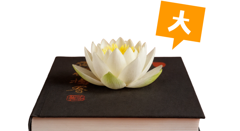 База, без которой тебе не обойтись