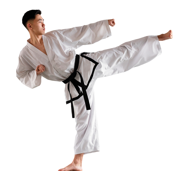 taekwondo man