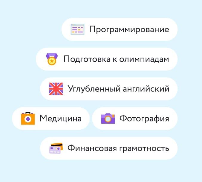 Учебная программа и дополнительные курсы Домашней школы Фоксфорда