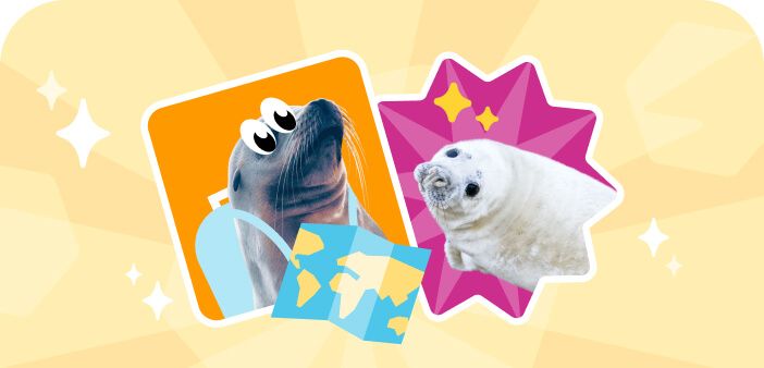 Морские животные