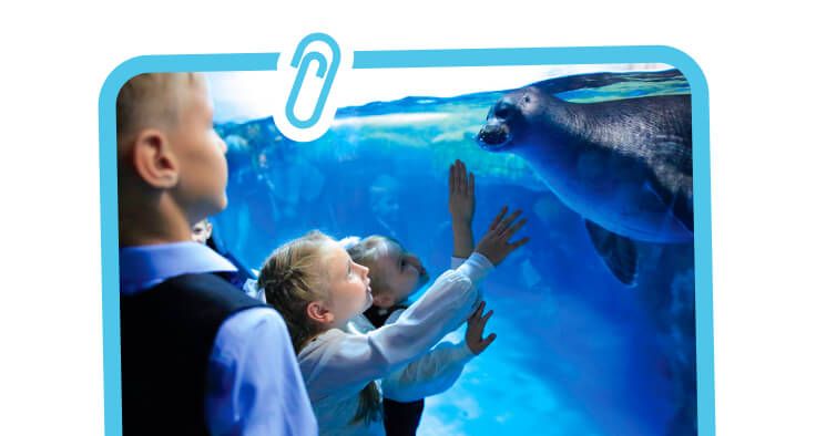 Океанариум