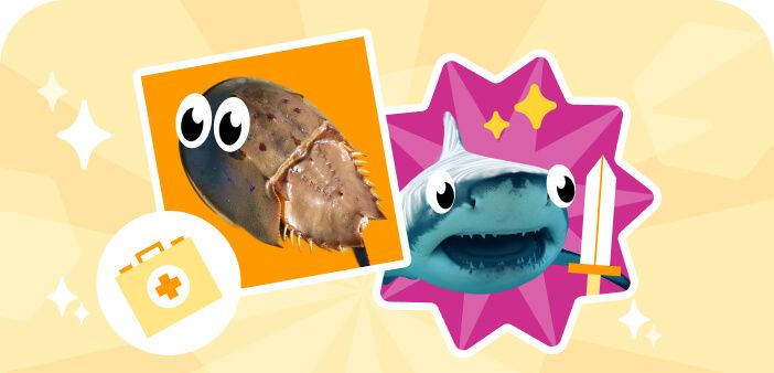 Самые старшие в океане