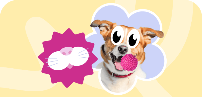 Восприятие мира