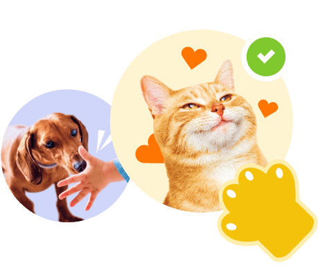 интерактивные задания