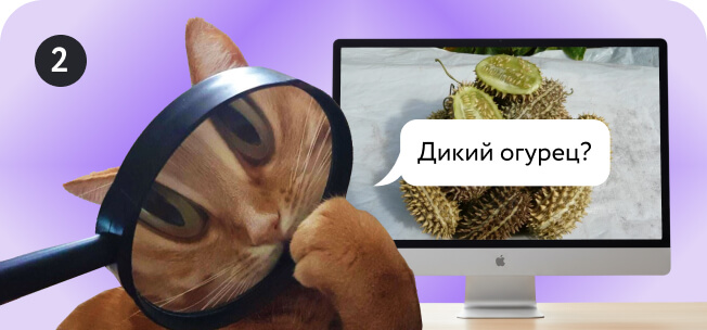 Изображение для ответа 2