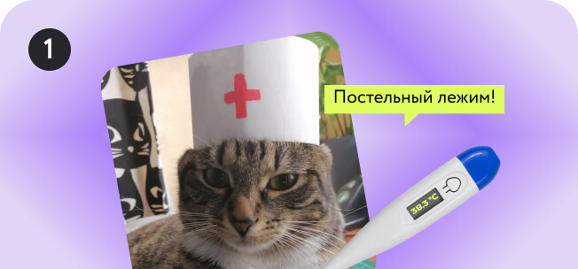Изображение для ответа 1