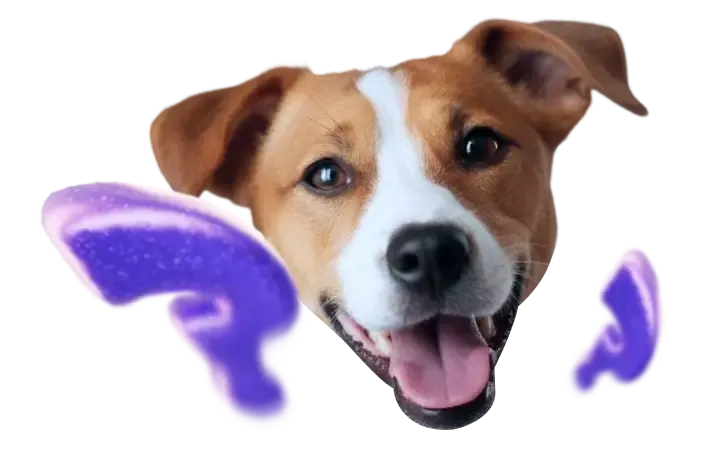 Кто из живых существ побывал там раньше всех