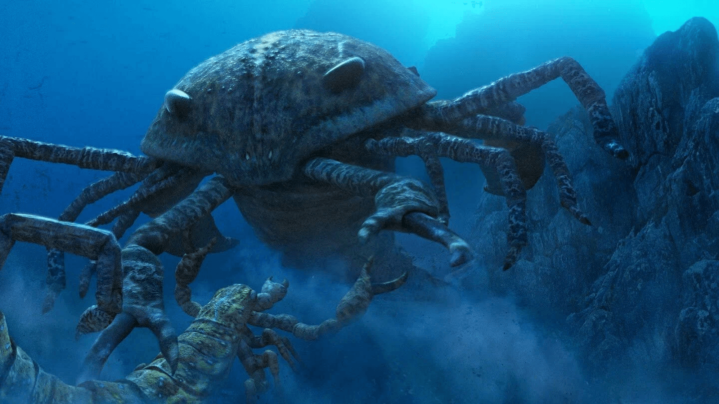 __wf_reserved_inherit