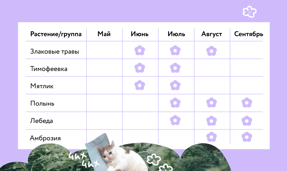 Календарь цветения травянистых растений