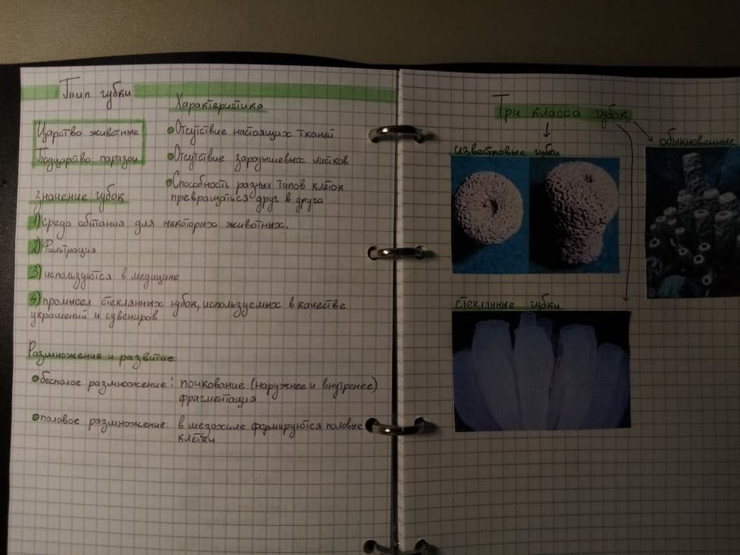 Преимущество «Фоксфорда» для учеников