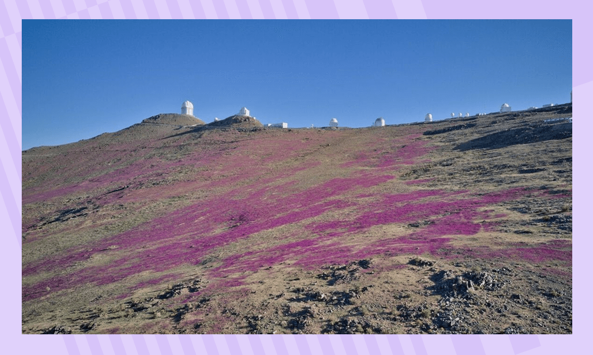 Интересные факты о пустынях