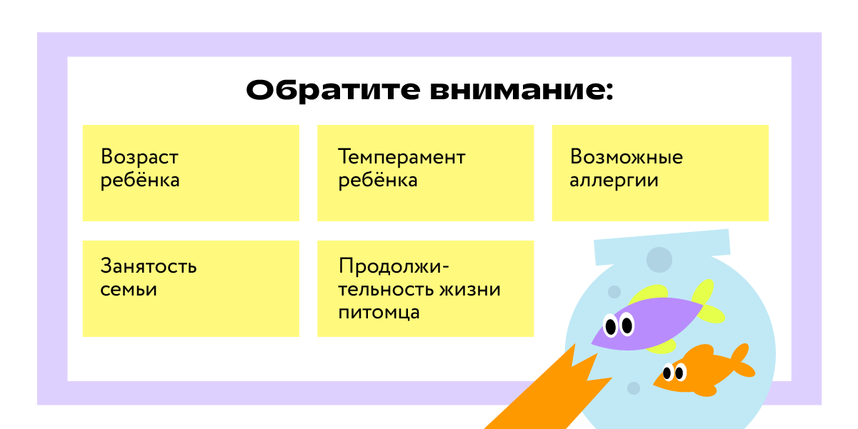Какое домашнее животное завести ребёнку: кто из питомцев лучше для квартиры