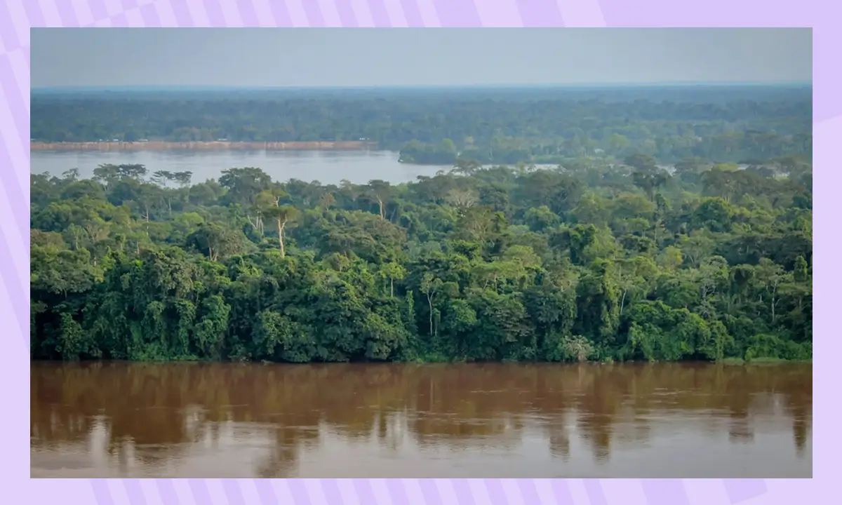 Вид на реку Конго