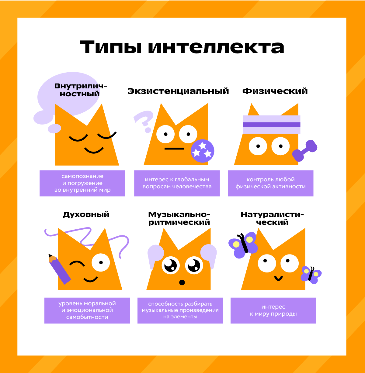 13 типов интеллекта хоумскулера: какие они и как их развивать