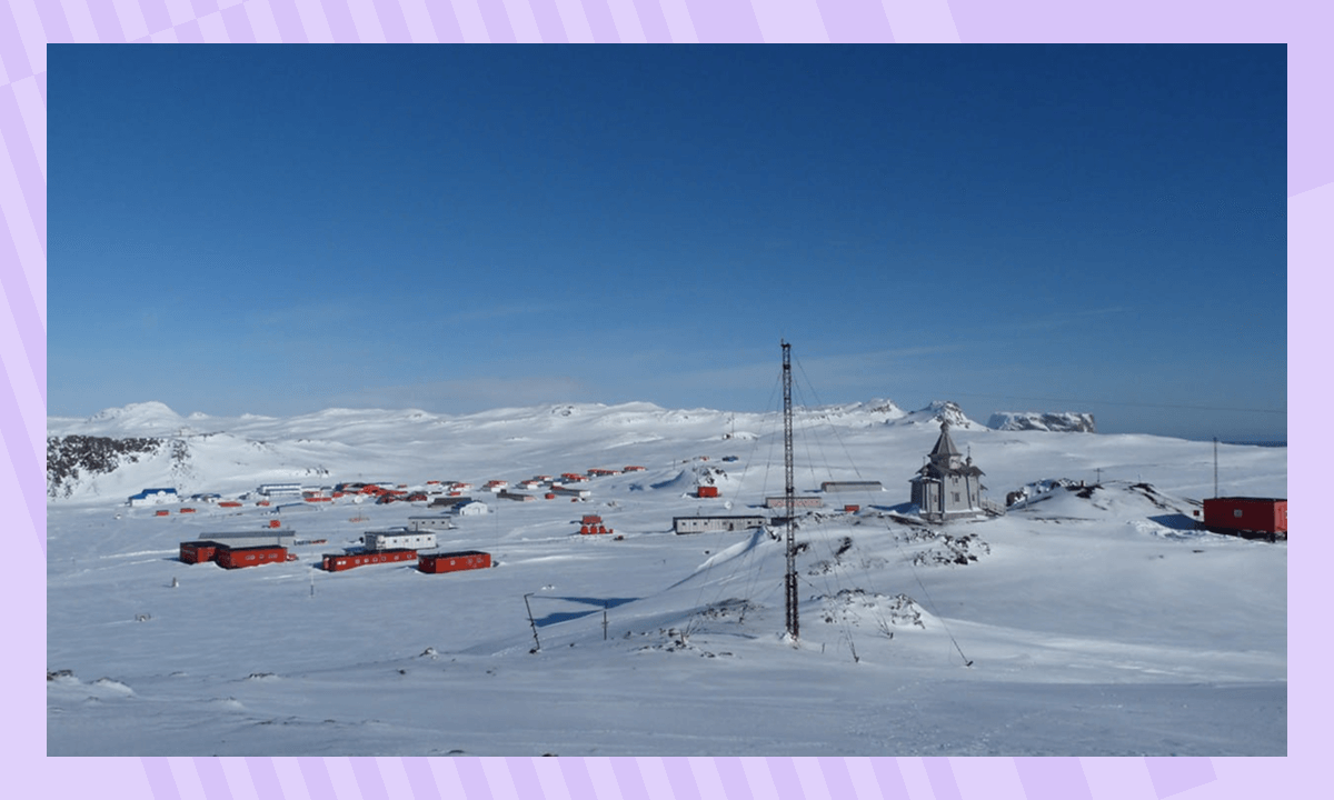 Станция &laquo;Беллинсгаузен&raquo; в Антарктиде