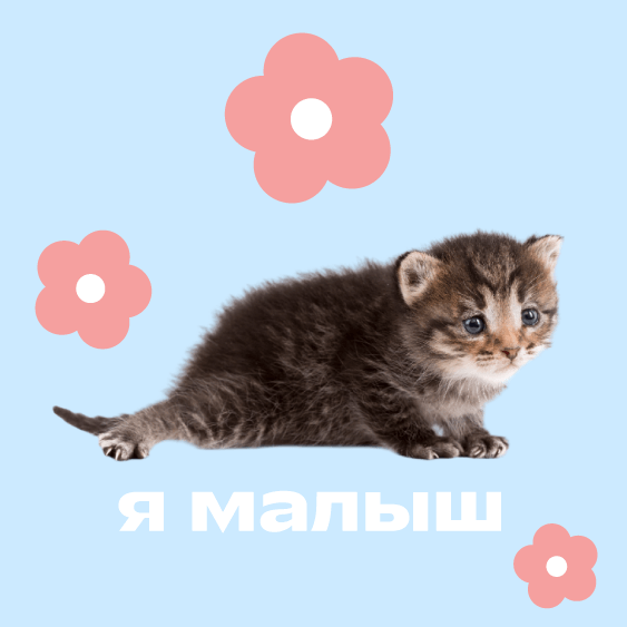 Превью статьи