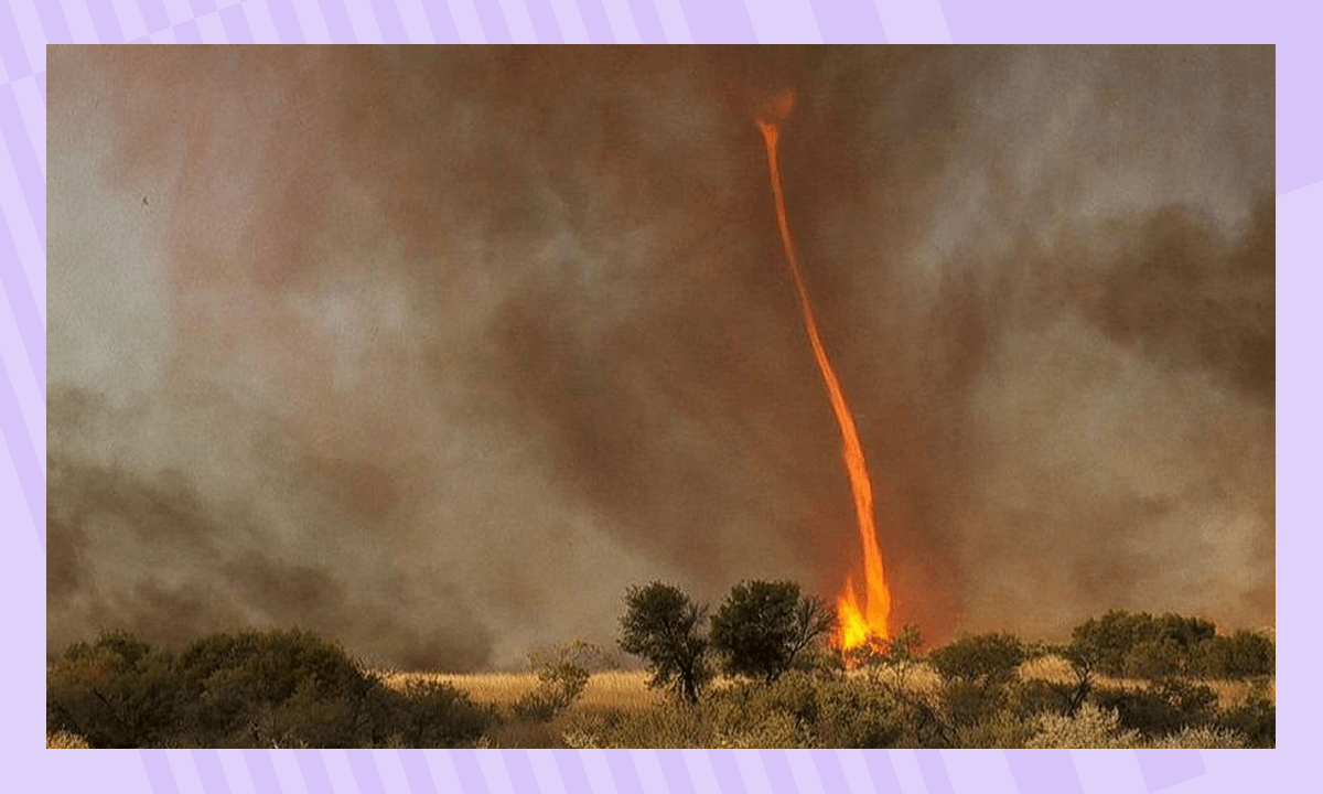 Огненный смерч в лесу