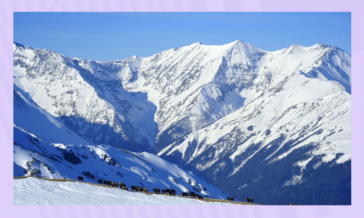 Самые известные и крупнейшие заповедники России – Кавказский заповедник