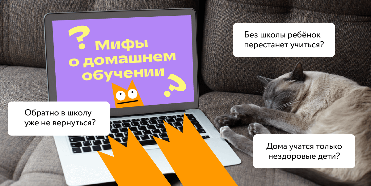 Семейное образование: преимущества, недостатки и как убедить родных