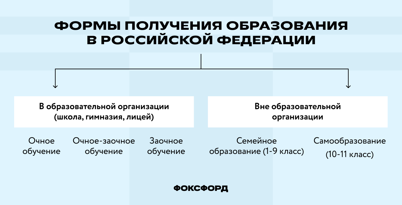 Формы получения образования в РФ
