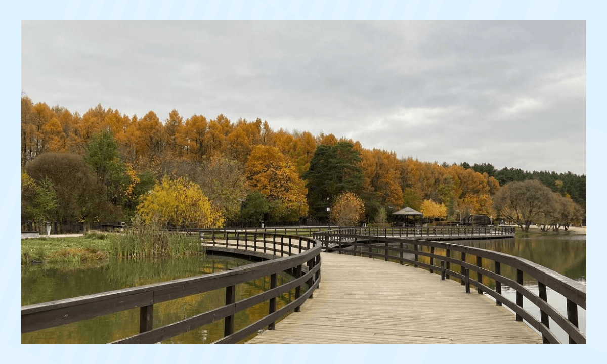 Национальный парк Мещерский - парк и заповедник Москвы, куда можно сходить с детьми
