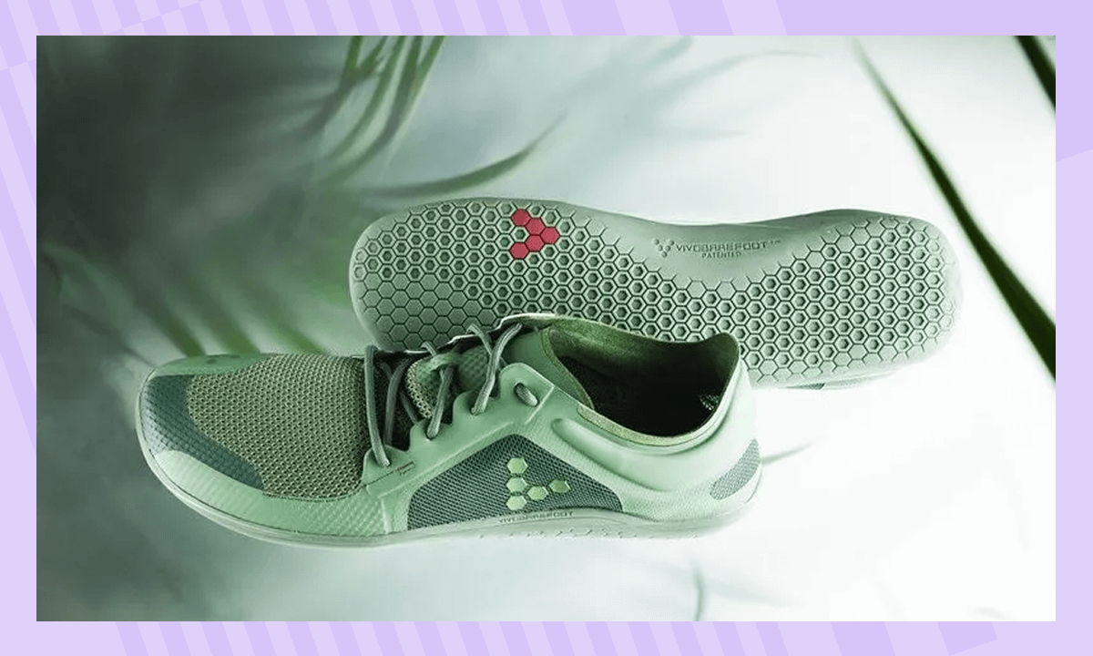 Топ интересных фактов о водорослях