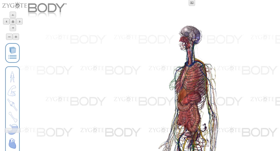 Онлайн-ресурсы для изучения биологии