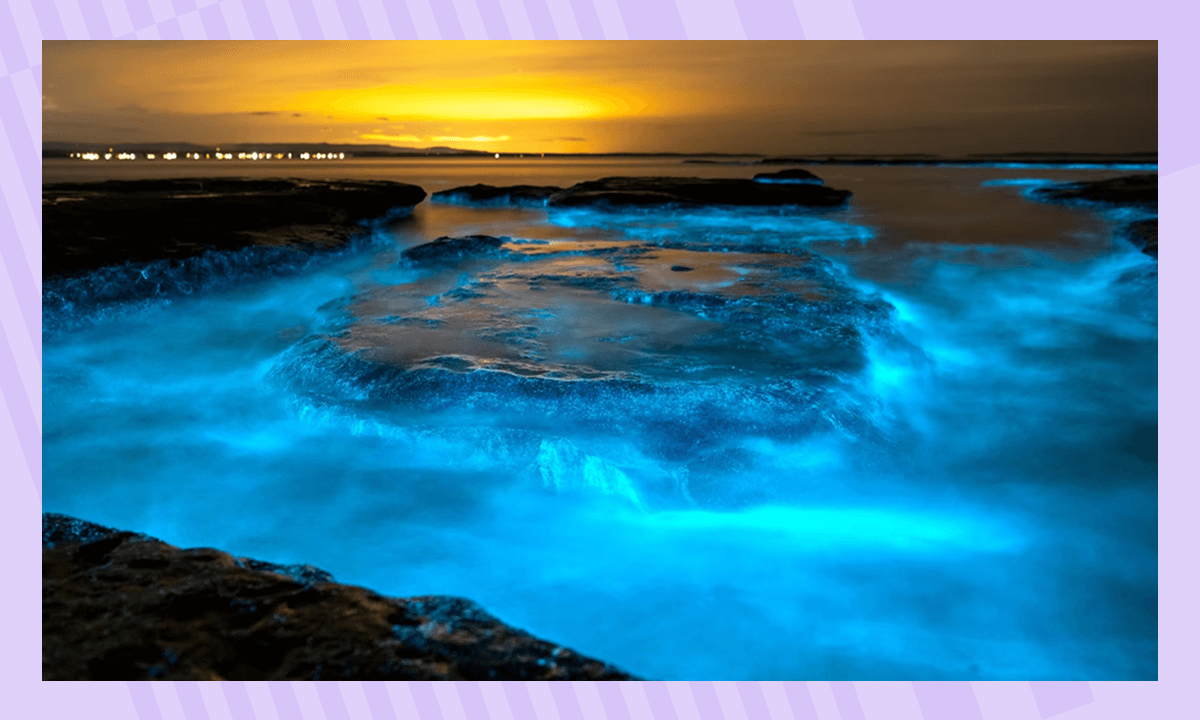 Биолюминесценция в море на закате