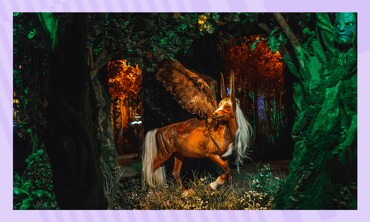 Куда сходить с детьми в Санкт-Петербурге - Особняк-Небылица