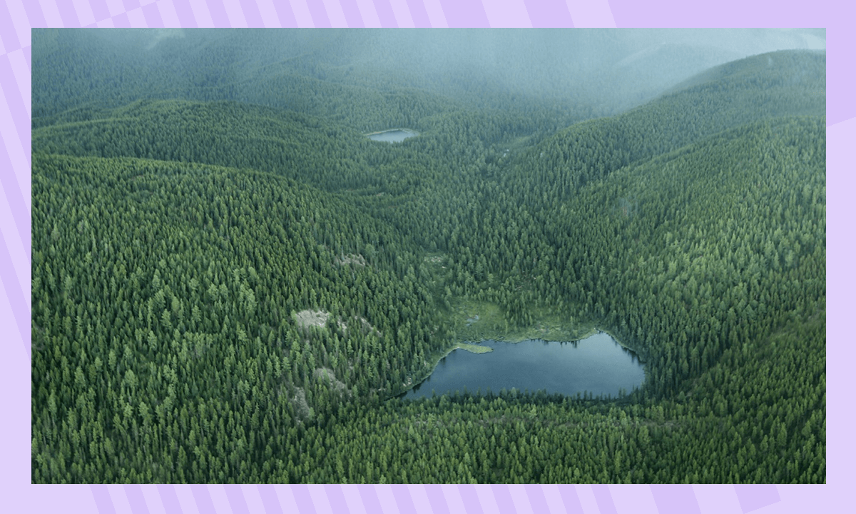 Самые известные и крупнейшие заповедники России – Байкальский заповедник 