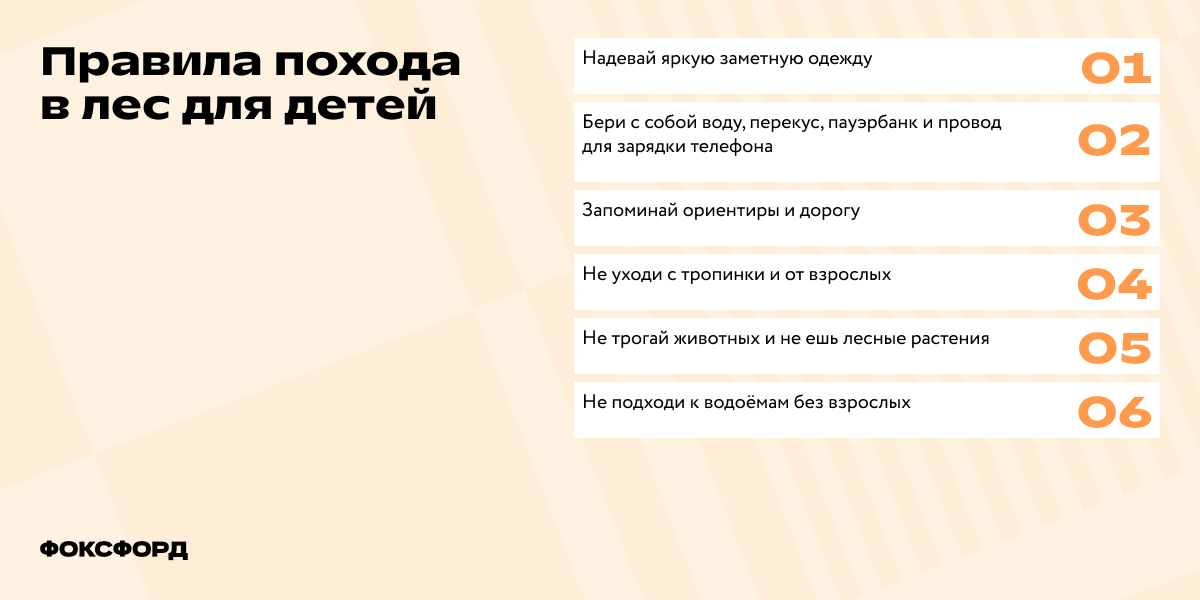 Правила похода в лес для детей