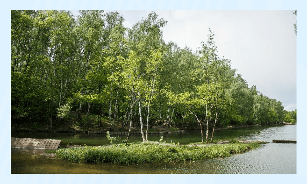Тёплый стан - парк и заповедник Москвы, куда можно сходить с детьми