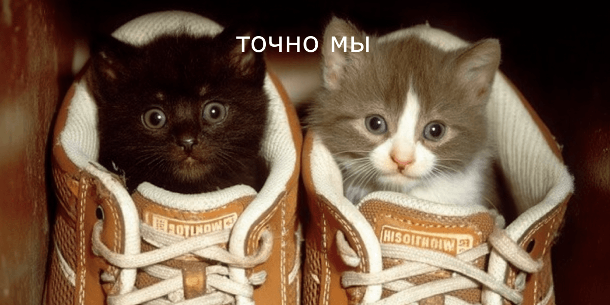 Обложка статьи