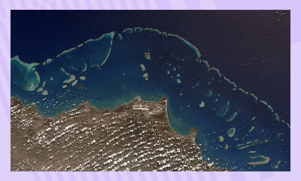 Интересные факты про океан 