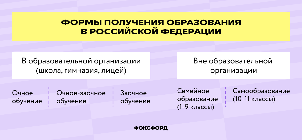 Формы получения образования в РФ