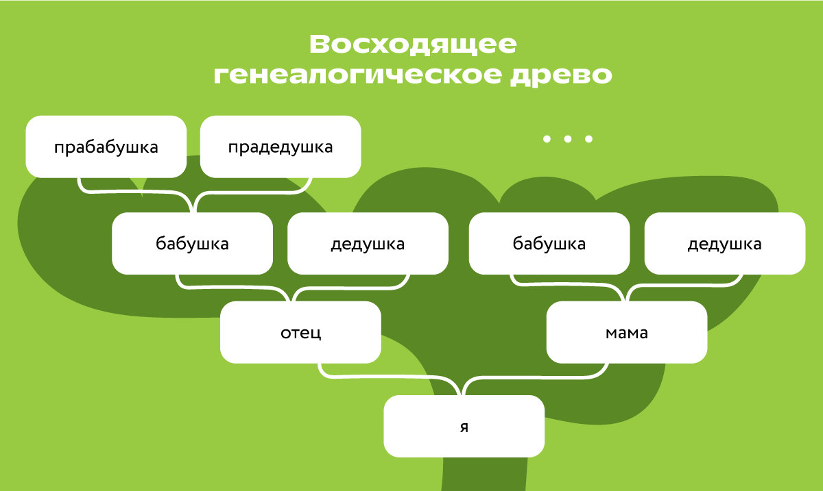 Как составить генеалогическое древо семьи