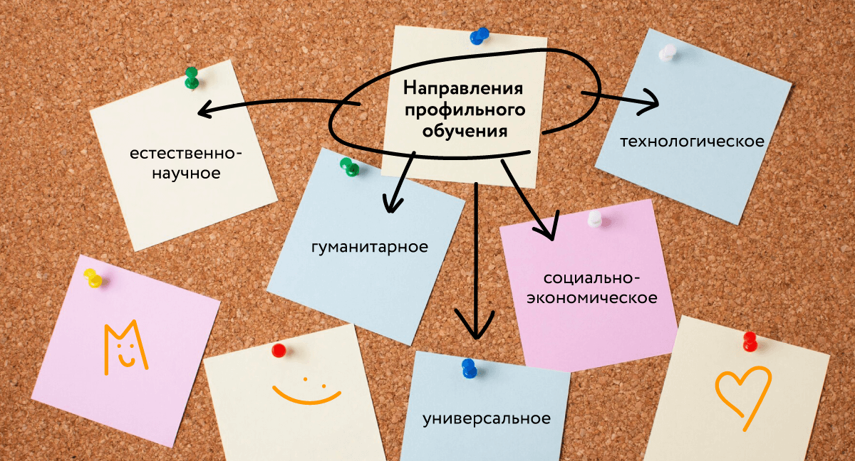 Направления профильного обучения