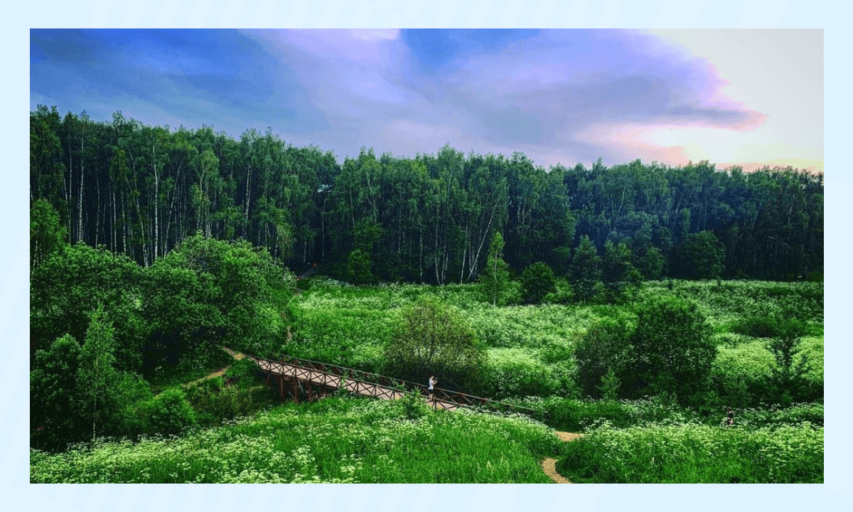 Битцевский лес - парк и заповедник Москвы, куда можно сходить с детьми