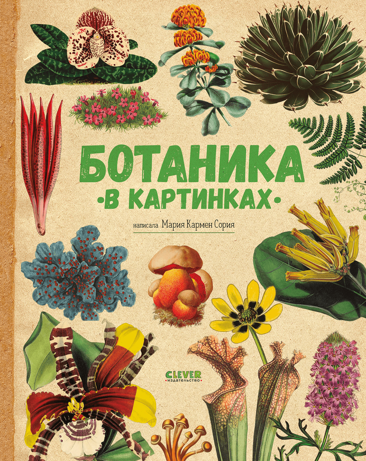 Мария Кармен Сория &laquo;Ботаника в картинках&raquo;