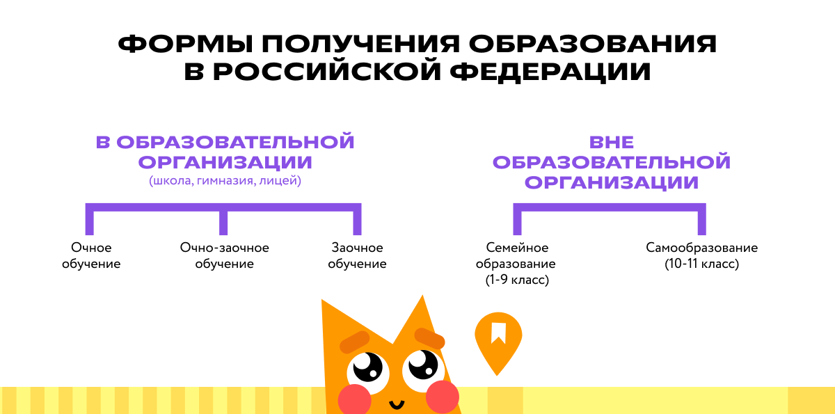 Формы получения образования в России 