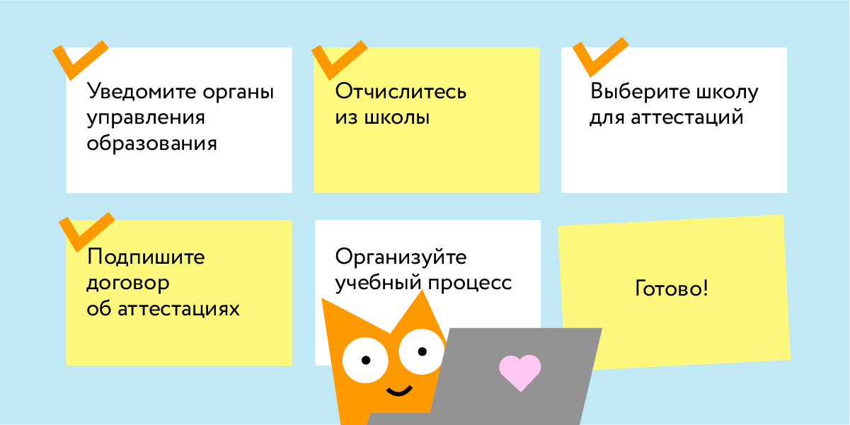 Семейное образование — с чего начать? Как начать учиться на домашнем обучении