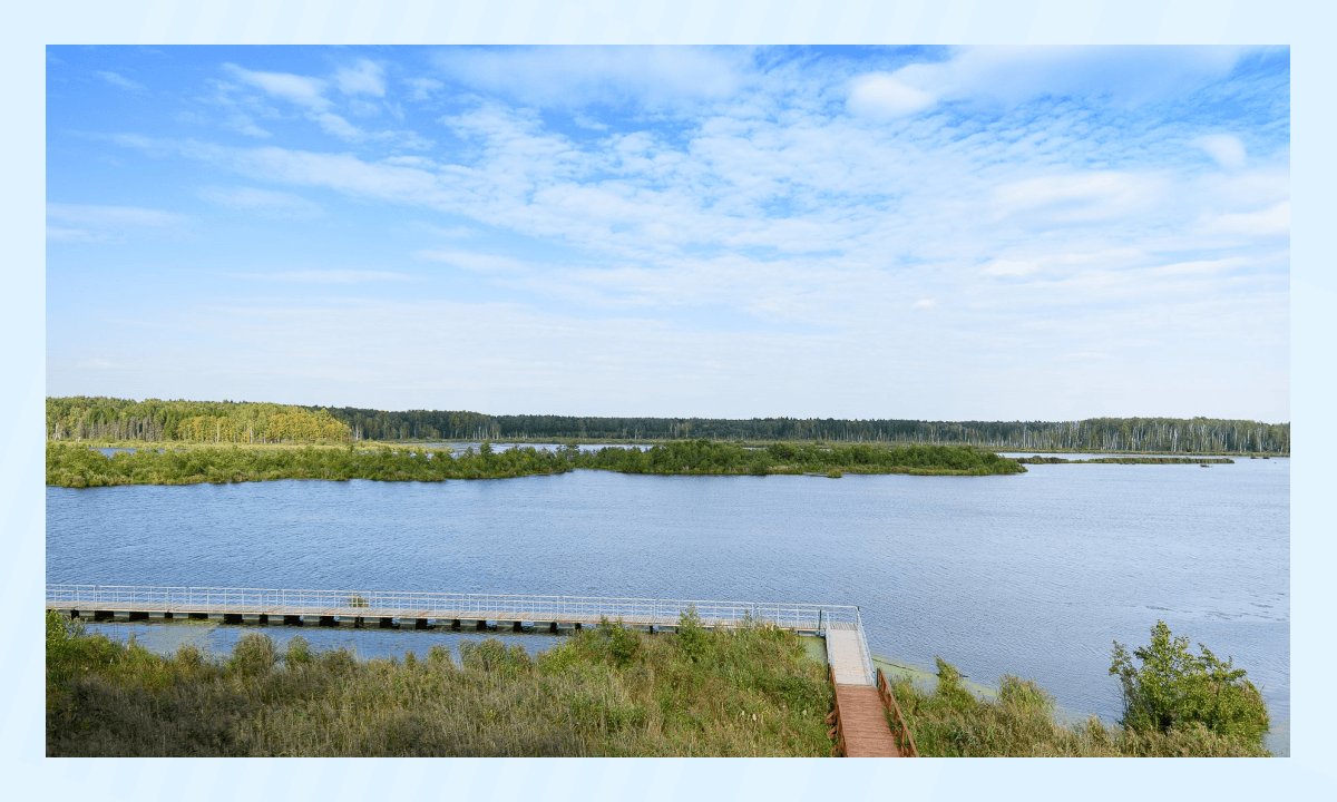 Лосиный остров - парк и заповедник Москвы, куда можно сходить с детьми