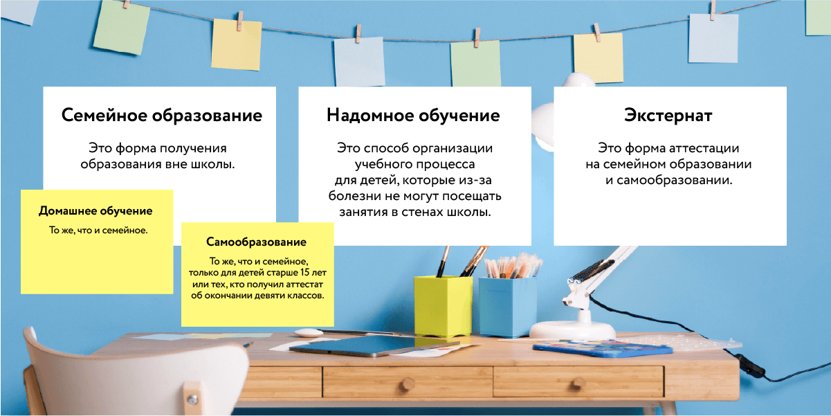 Виды домашнего обучения