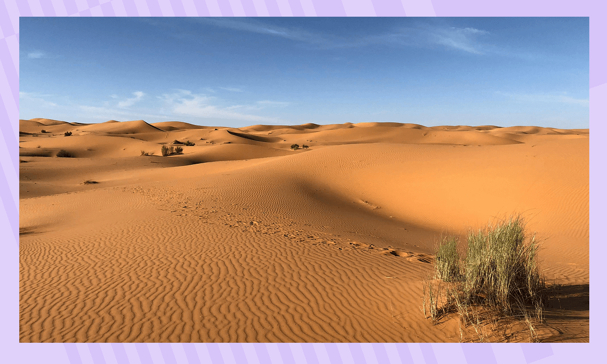 Interesnye Fakty O Pustynyah Sahara