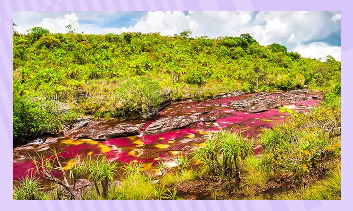 Река пяти цветов в колумбийских Андах