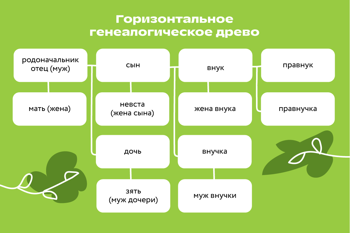 Как составить генеалогическое древо семьи