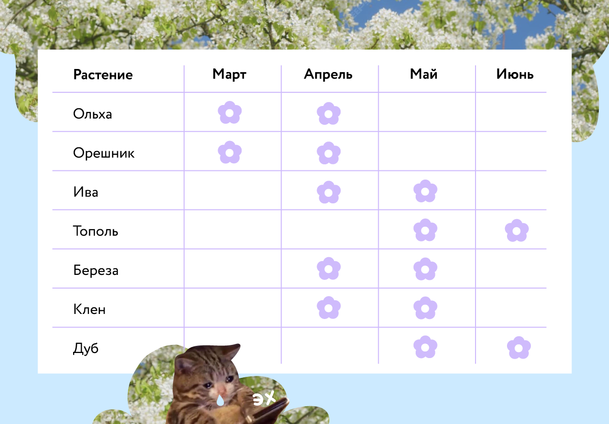 Календарь цветения деревьев