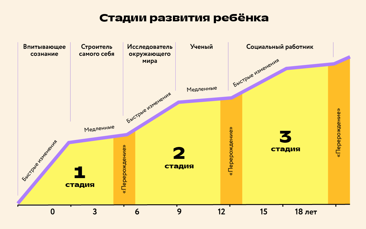 Педагогика Монтессори
