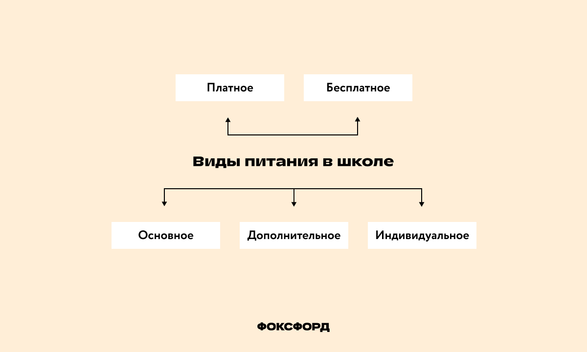 Виды питания в школе