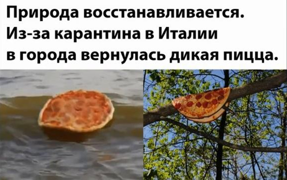 Мем про восстановление природы во время карантина